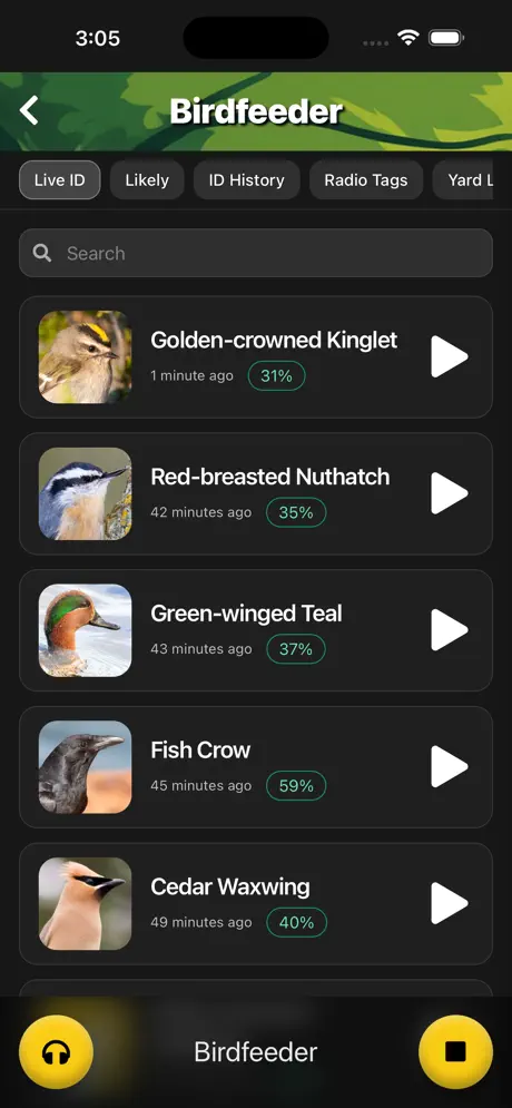 Terra Listens Android - Bird identification feed