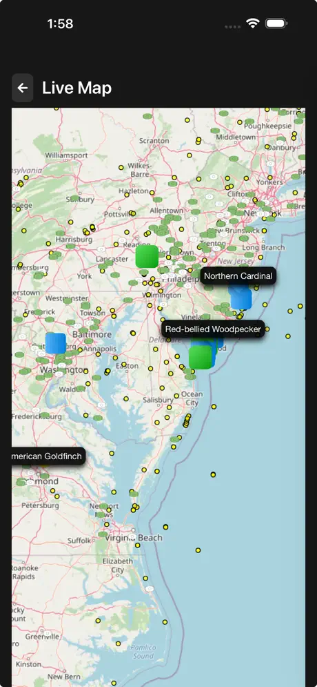 Terra Listens Android - Live Map view