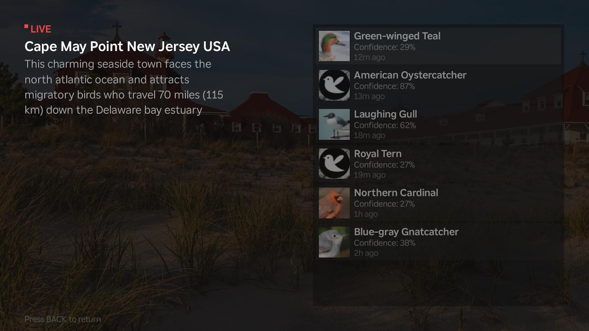 Terra Listens on TV - Live audio stream with real-time bird identifications